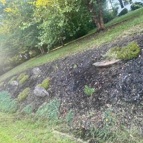 Flower Bed Weeding by J lawn care reviewed on August 15, 2026