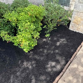 Mulching by Shaggy cuts,INC reviewed on August 17, 2025