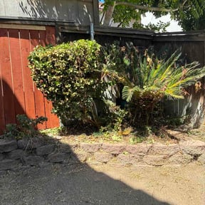 Bush Trimming by Dan's Lawn &amp; Landscaping reviewed on August 19, 2026