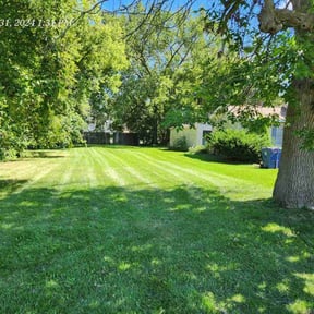 landscaping by Trevor Hall reviewed on August 15, 2025