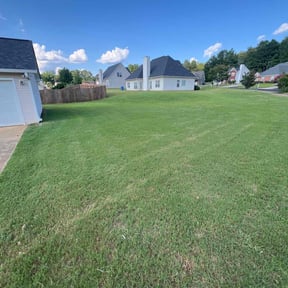 grass maintenance by Chemen reviewed on August 19, 2025