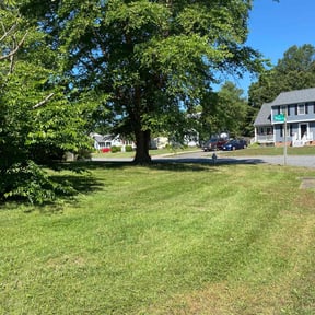 landscaping services by Jeri Cleaning Services reviewed on August 21, 2025