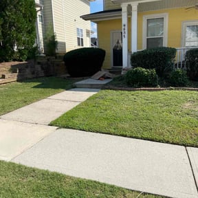 Bush Trimming by Get her done lawn service reviewed on October 24, 2025