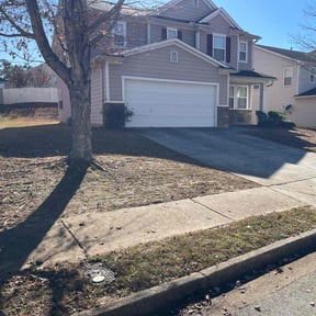 Leaf Removal by Onshore Solution reviewed on November 18, 2025