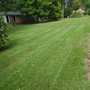 yard care by Jerrel's Handyman & Lawn Service LLC reviewed on August 20, 2025