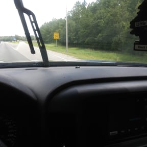 Bush Trimming by O.R Landscaping reviewed on August 21, 2025