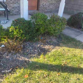 Bush Trimming by Salvador Gonzalez reviewed on May 22, 2023