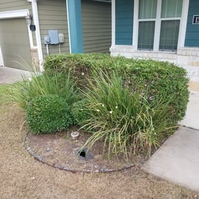 Bush Trimming by Mountaineer lawncare reviewed on August 13, 2025
