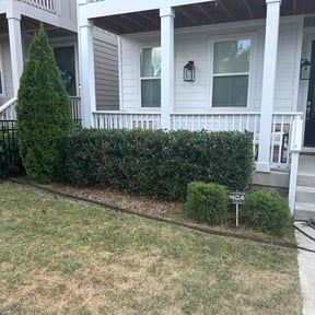 Bush Trimming by Lawn Me Up Landscape reviewed on November 19, 2025