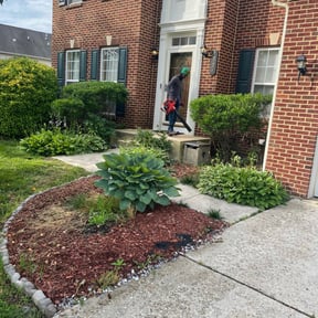 Bush Trimming by Easy cutt lawn services reviewed on August 21, 2025