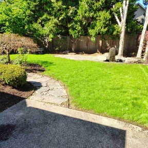landscaping services by The Green Op reviewed on August 17, 2025