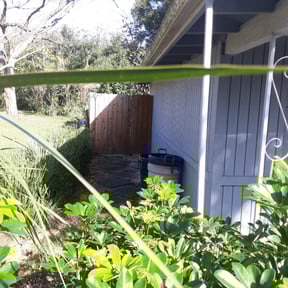 Leaf Removal by BSM & Co. Landscaping reviewed on August 15, 2025
