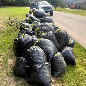 Leaf Removal by Baldwin Premium Lawn Care reviewed on May 29, 2026