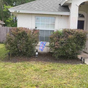 Bush Trimming by Babcock Enterprises LLC reviewed on November 10, 2025