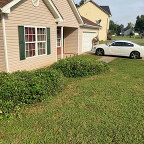 Bush Trimming by Ron's lawn care reviewed on August 20, 2025