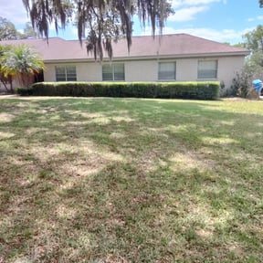 Bush Trimming by Cohen Lawn & Landscaping reviewed on August 15, 2025