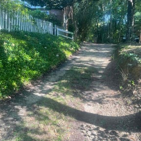 Leaf Removal by JA Performance Outdoor Services reviewed on September 20, 2025