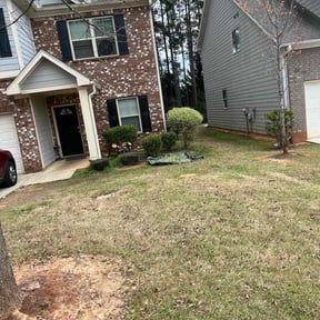 Bush Trimming by Grizzly Lawn Care and Snow Removal reviewed on August 17, 2025