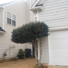 Bush Trimming by Waters Landscaping reviewed on August 17, 2025