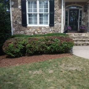 Bush Trimming by LAWN CARE AND DELIVERY SERVICES LLC reviewed on August 18, 2025