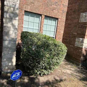 Bush Trimming by American lawn care reviewed on August 20, 2025