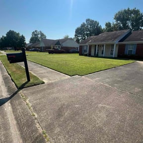 yard maintenance by Goetreeservices reviewed on December 10, 2025