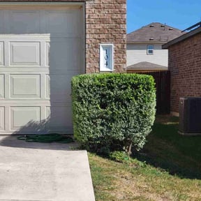 Bush Trimming by MTD Lawncare & Maintenance reviewed on August 21, 2025