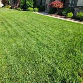 yard service by Transport&Tow2GO LLC reviewed on August 17, 2025