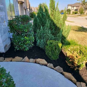 Mulching by Wards lawn care reviewed on August 18, 2025