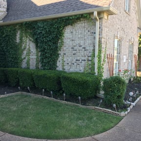Bush Trimming by Distinctive Upfitter Designs reviewed on August 21, 2025