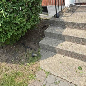 Flower Bed Weeding by Paul's Lawncare Services reviewed on August 19, 2026