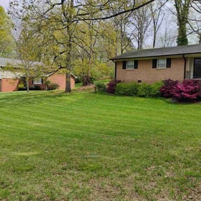 lawn care by American  lawn care reviewed on September 29, 2023