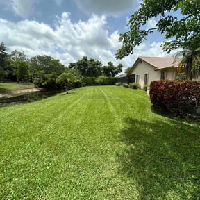landscaping by 618'S Snappin Out Lawn Care reviewed on August 16, 2025