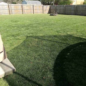 yard work by CCV Lawncare reviewed on August 16, 2025
