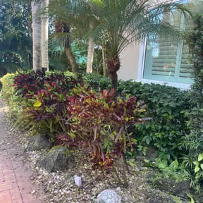 Bush Trimming by John's lawn care Llc reviewed on August 20, 2025