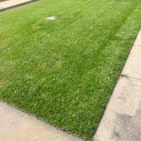 landscape maintenance by Tracy Norman’s Lawn Services reviewed on August 15, 2025