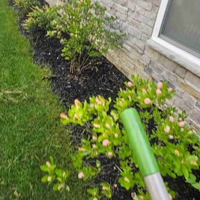 Flower Bed Weeding by Kingdom Lawn Care and More reviewed on August 20, 2026