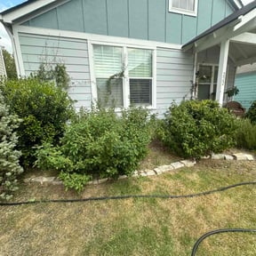 Bush Trimming by Stephen's Lawns reviewed on August 18, 2025