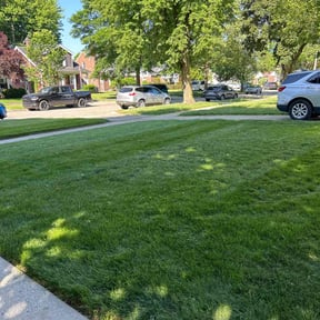 residential landscaping by Pure Perfection Lawn Care LLC reviewed on August 16, 2025