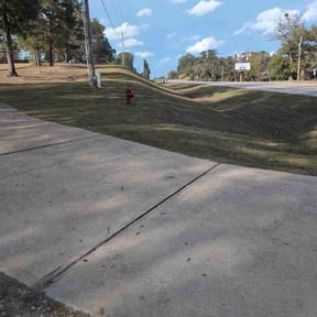 Leaf Removal by Santek Lawn service reviewed on November 21, 2025