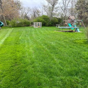 gardening service by Buckeye lawn maint reviewed on August 18, 2025
