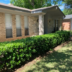 Bush Trimming by Innovative Property Services reviewed on August 15, 2025