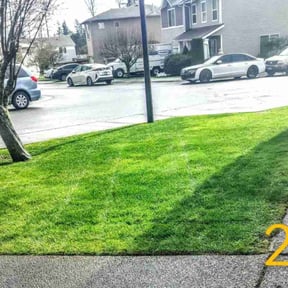 yard work by Grass Grabbers reviewed on August 20, 2025