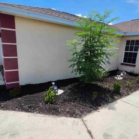 Mulching by Pro-Green Landscaping Orlando, LLC reviewed on August 17, 2025