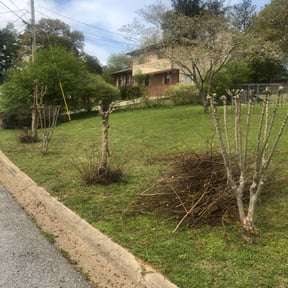 Bush Trimming by Elegant Lawn Care reviewed on August 18, 2025