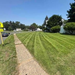 turf care by Weekend Warrior Landscaping reviewed on March 19, 2024