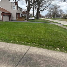 grass maintenance by The Trusted Edge reviewed on June 13, 2025