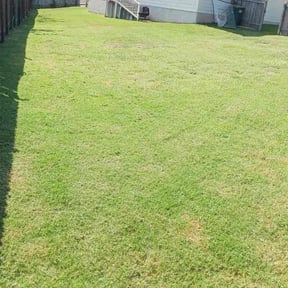 turf care by RhodenColes Investments reviewed on June 15, 2022