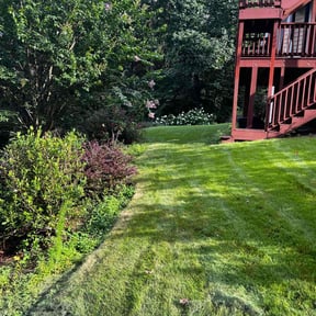 grass cutting by Luxury Finish Lawn care  reviewed on August 20, 2025
