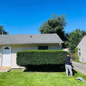 Bush Trimming by Public service pros LLC reviewed on August 19, 2025